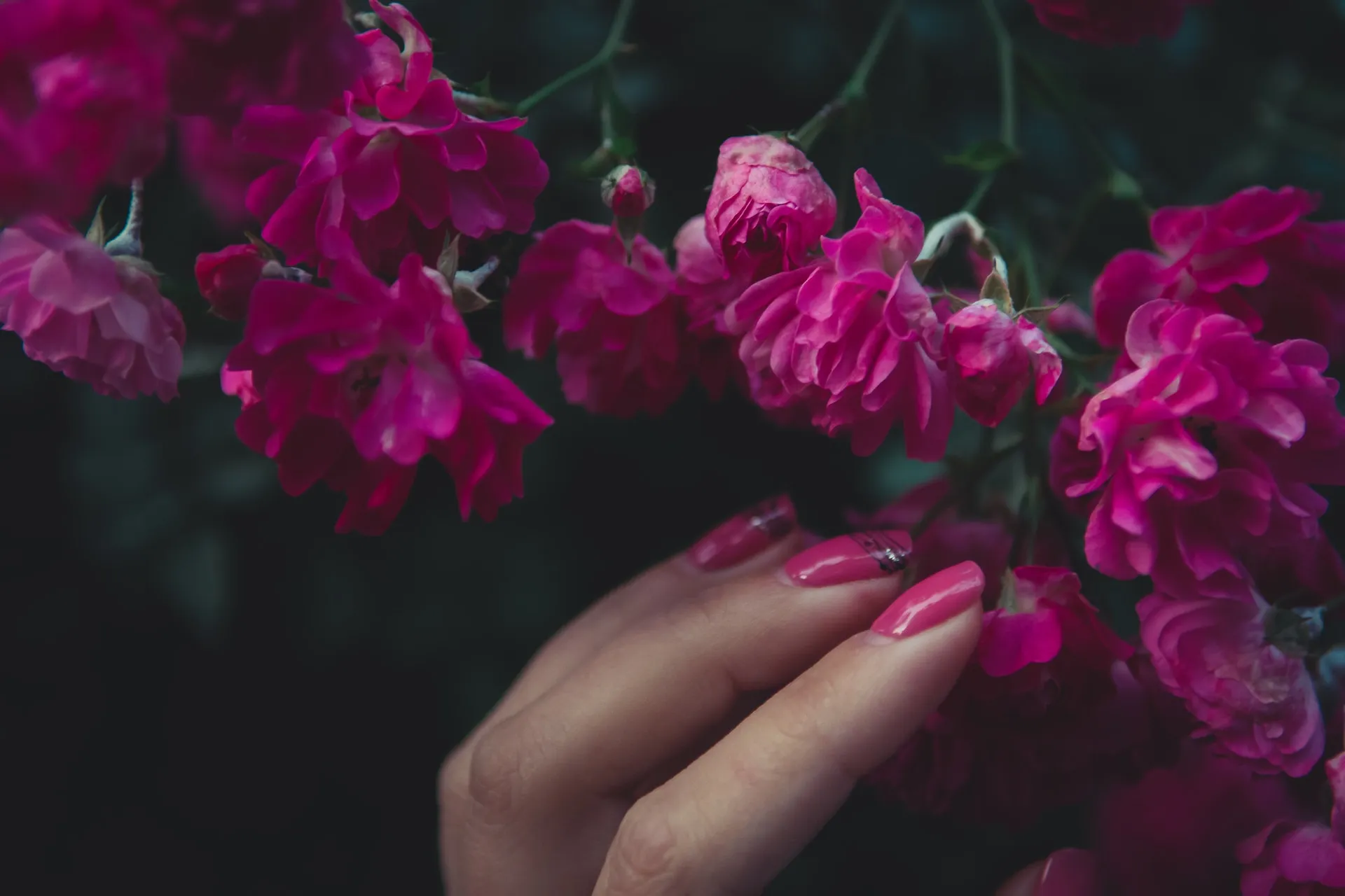Découvrez nos soins visage et corps, épilation, beauté des mains et maquillage.